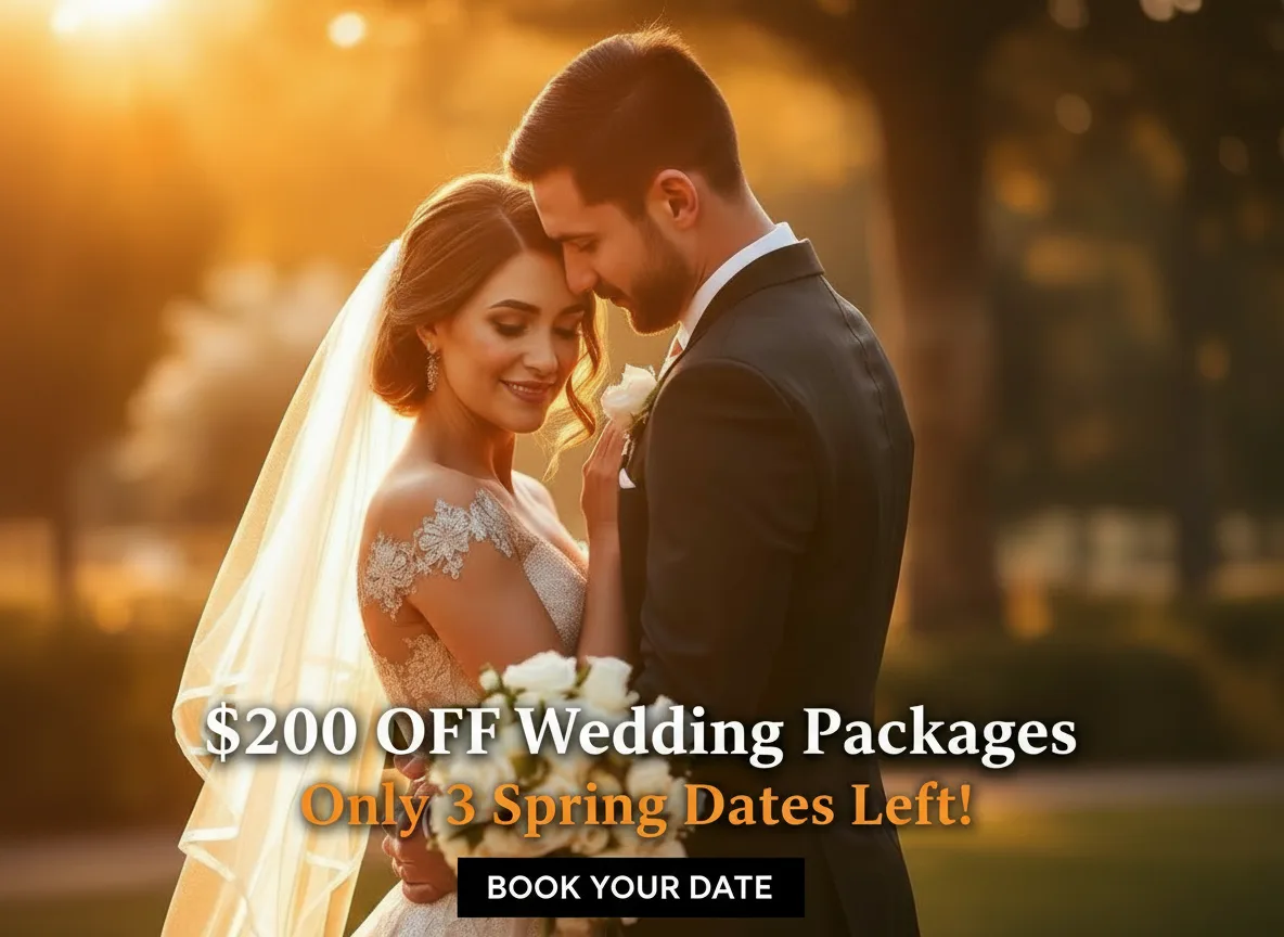 Wedding Photography ad creative example